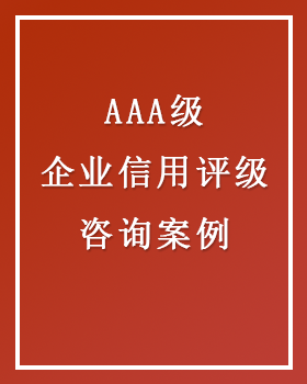 AAA级信用企业 咨询案例一